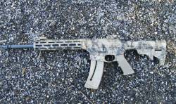 imagen de Smith & Wesson MP15-22 Kryptek: Fiabilidad a toda prueba
