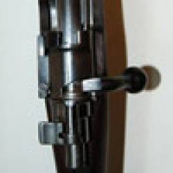 imagen de Mauser Argentino M1909, el hijo pródigo del Mauser 98