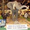 expocinegetica_2013_ho