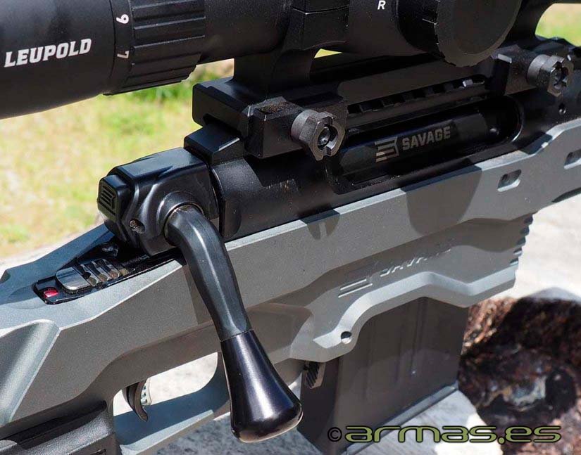 big-carril-20-moa-rifle-savage-elite-precision