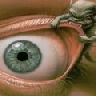 Avatar de Usuario