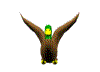 Avatar de Usuario