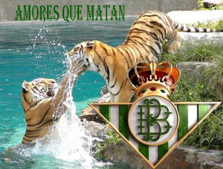 Barcelona,Madrid,el Betis ya esta aquí!!!!!




  AUPA EL BETIS   80