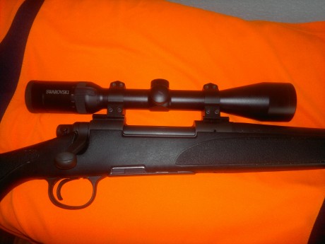 dado que su venta no se animo me anime yo a montarle nueva optica, 3-10x42 de la casa swarovski tras centrarlo 01