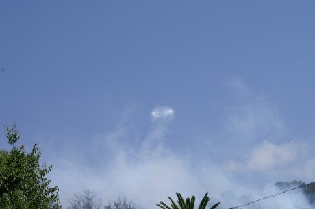  1.JPG Vaya estafa el no-desfile de esta mañana. :evil:  :evil:  :evil:  :evil:  :evil:  :tanque^:  :tanque^: 12