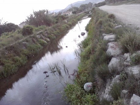 SE llama así, polla de agua, que nadie piense lo que no es. Es una zancuda ,nadadora, buceadora,corredora, 170
