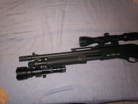 . 61