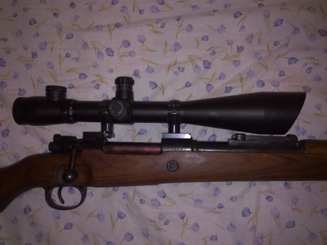 Wenas a todos, hace poco instale un visor NCstar Mark III 10-40x50(con reticula retroiluminada) a mi Mauser 01