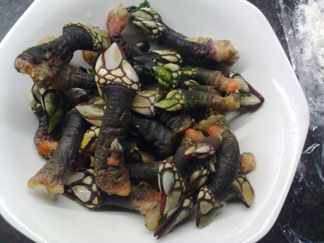 Este es un llamamiento para los foreros de Cantabria que no tenemos el gusto de conocernos en persona, 150