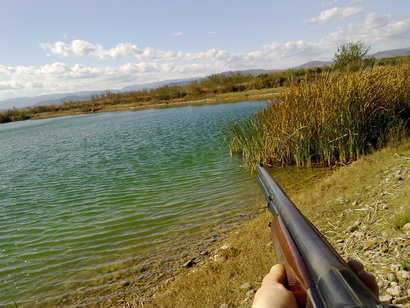 SE llama así, polla de agua, que nadie piense lo que no es. Es una zancuda ,nadadora, buceadora,corredora, 141