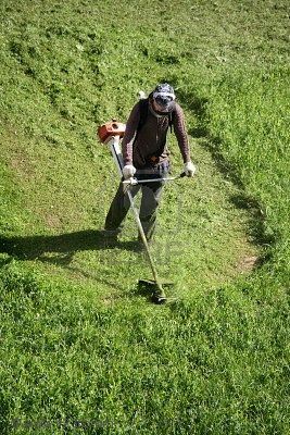  Pues éso, que muchas veces pienso en foreros que de pronto "no se supo más". En concreto, me 90
