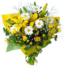   MUCHASSSSSSSSSSS FELICIDADESSSSSSS   :apla:  :apla:  :apla:  :apla:  :apla:  :apla:  :apla:  :apla: 40