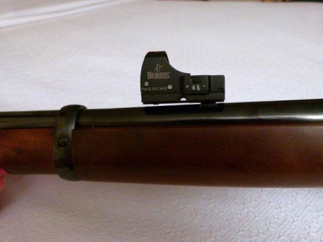 Hola a todos, acabo de hacerme con un palanquero Rossi del 454 Casull, pero no encuentro munición. Para 80