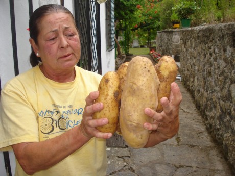 Queridos amigos: ante las expectación :8 causada por el desayuno que me he pegado esta mañana, el cual 22