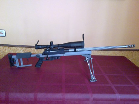 Hola . Estoy pensando en comprarme este rifle para utilizarlo a 200 o 300 m.(308 w.).He leido diferentes 60