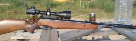 hola enumerando las tres primeras que carabinas escogeríais entre estas:

gamo hunter 440,viper max,gamo 72