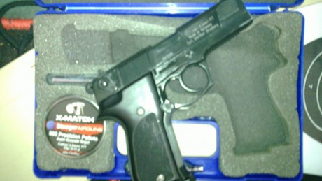 Hola muy buenas soy nuevo en esto, llevo un tiempo queriendome comprar una pistola de perdigones , y por 151