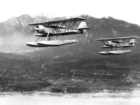 Sé que al principio de la II Guerra Mundial, habían en servicio algunos aviones biplanos (Gloster Gladiator, 51