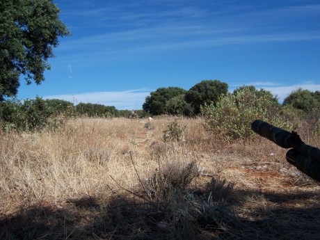 Después de algún tiempo pasamos una mañanita tirando a 50 metros con mi Hatsan, visor Leapers 3 - 9 X40 02
