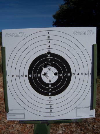 Después de algún tiempo pasamos una mañanita tirando a 50 metros con mi Hatsan, visor Leapers 3 - 9 X40 11