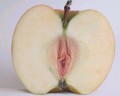 Por qué la manzana es la fruta prohibida?. De entre todas las frutas... por qué precisamente ella y no 140