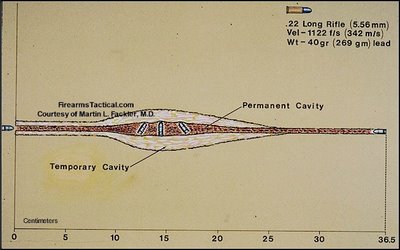 Imaginaos una situación caótica a nivel mundial. Podeis llamarla meteorito, sunami, glaciación, guerra 141