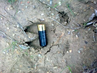 Hola compis. 
Os cuento el lance de ayer porque tiene tela marinera. De alguna manera me da hasta vergüenza 41