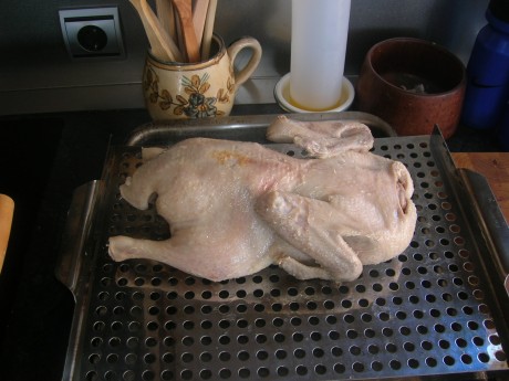 Queridos amigos: ante las expectación :8 causada por el desayuno que me he pegado esta mañana, el cual 50