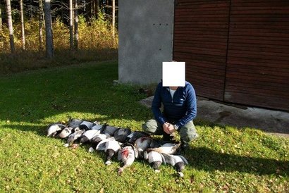 Hola a todos. 
Os pongo unas fotos de un amiguete que ha estado en Estonia el año pasado y este repite. 52