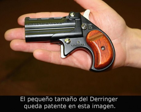 ¿Os compraríais un  Derringer ?.

Ahora que los comercializan en España con el calibre 9mm pb y .38 spl, 70