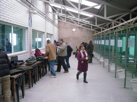 un año más, volvemos a hacer la QDD en León.

el plan, el de siempre!!

iros apuntando!!!

 LISTADO PROVISIONAL 150