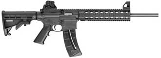 Hola, quiero comprarme una de estas dos carabinas del calibre 22Lr, pero no se por cual decidirme, cual 00