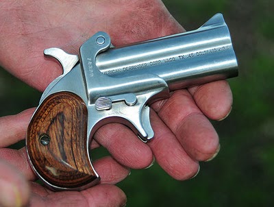 ¿Os compraríais un  Derringer ?.

Ahora que los comercializan en España con el calibre 9mm pb y .38 spl, 160