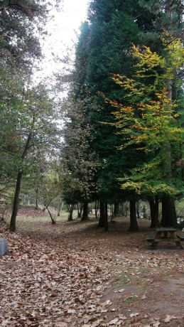 Este es un llamamiento para los foreros de Cantabria que no tenemos el gusto de conocernos en persona, 70