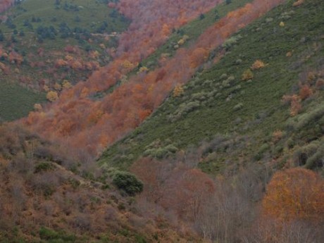 Hola compis. 
Os cuento el lance de ayer porque tiene tela marinera. De alguna manera me da hasta vergüenza 170