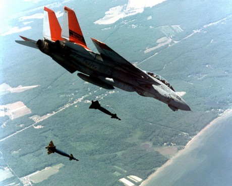 Pudo ser el F-14 tomcat un buen cazabombardero? se que se le dio esa capacidad, pero apenas se ha dicho 10