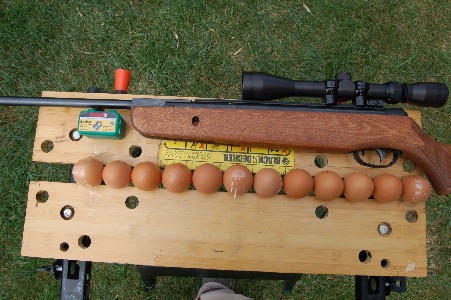 Otro experimento. 

   ¿Cuantos huevos puede romper una carabina?   

Material usado:

* Carabina GAMO 20