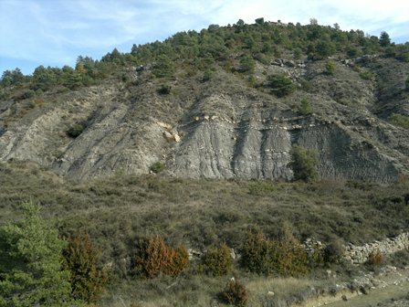 Hola compis. 
Os cuento el lance de ayer porque tiene tela marinera. De alguna manera me da hasta vergüenza 30