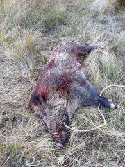 Hola compis. 
Os cuento el lance de ayer porque tiene tela marinera. De alguna manera me da hasta vergüenza 101