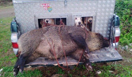 Hola compis. 
Os cuento el lance de ayer porque tiene tela marinera. De alguna manera me da hasta vergüenza 41