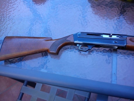 Hola me han salido dos escopetas para comprar una berretta 303 y una benelli 129.me gustaría saber cual 81