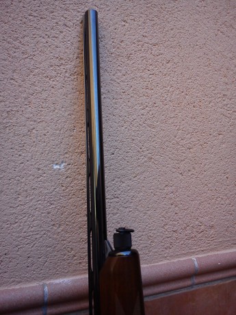Hola me han salido dos escopetas para comprar una berretta 303 y una benelli 129.me gustaría saber cual 100