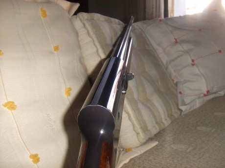 Hola:

Un amigo del trabajo, enamorado de las escopetas Browning, quiere comprarse una escopeta automática 50