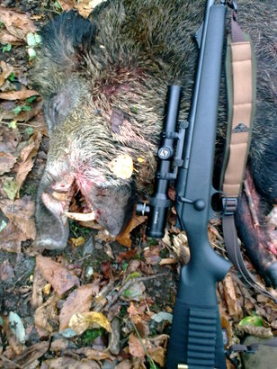 Necesito un poco de ayuda porque voy a adquirir un rifle nuevo, otro 375 H&H....
La duda la tengo 160