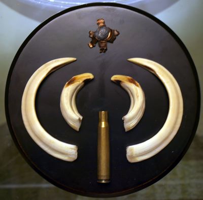 Hola compis. 
Os cuento el lance de ayer porque tiene tela marinera. De alguna manera me da hasta vergüenza 150