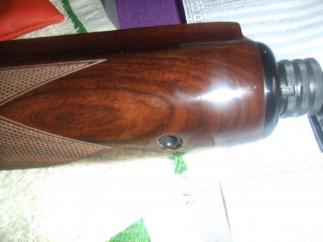 Hola a todos,me gustaria que me dierais opiniones y vivencias sobre esta arma que para mi es muy desconocida 00