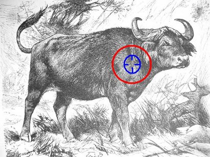 En este enlace yanqui vienen un montón de dianas que podeis imprimir para salir un poco de la rutina de 80