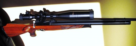 Hola, estoy decidido en adquirir una air arms porque se de buena tinta que son muy precisas y fiables. 50