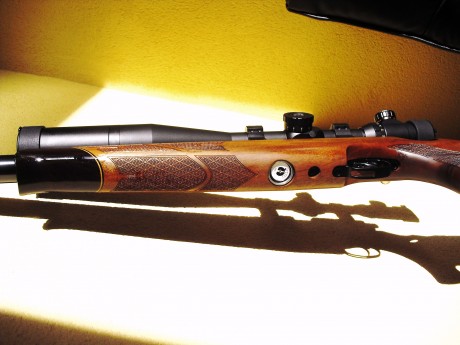 Hola, estoy decidido en adquirir una air arms porque se de buena tinta que son muy precisas y fiables. 72