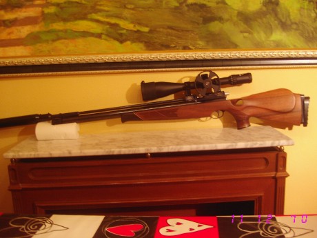 Hola, estoy decidido en adquirir una air arms porque se de buena tinta que son muy precisas y fiables. 70